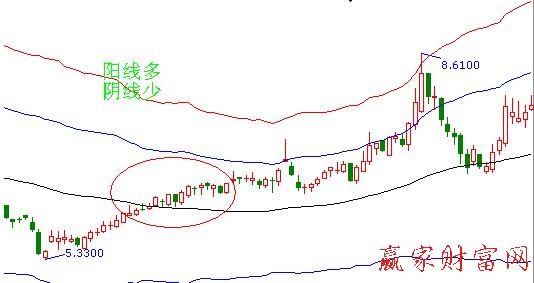 螞蟻上樹(shù)114315