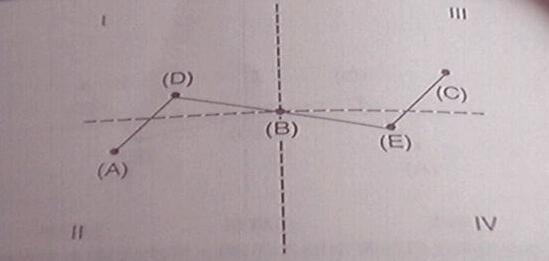 亞當(dāng)理論的對(duì)稱性