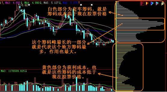 www.hxmyxy.cn/cmfb/