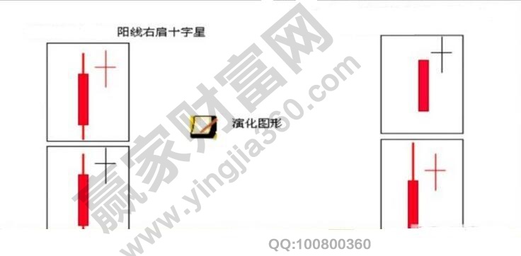 陽(yáng)線(xiàn)右肩十字長(zhǎng)（星）
